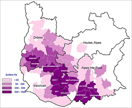 Culture de la lavande et du Lavandin dans les Alpes-de-Haute-Provence, les Hautes-Alpes, la Drôme et le Vaucluse