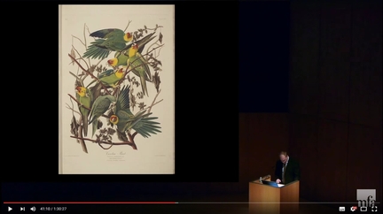The Birds of America - John James Audubon 1785-1851