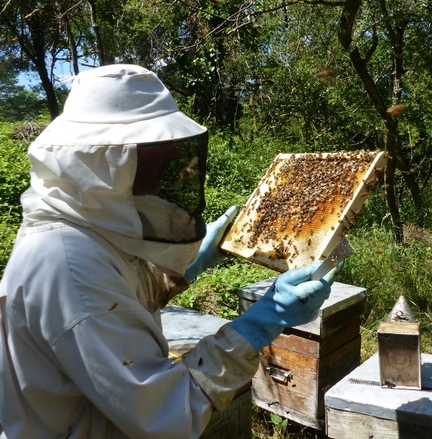 2023.05.20 - Journe mondiale des abeilles