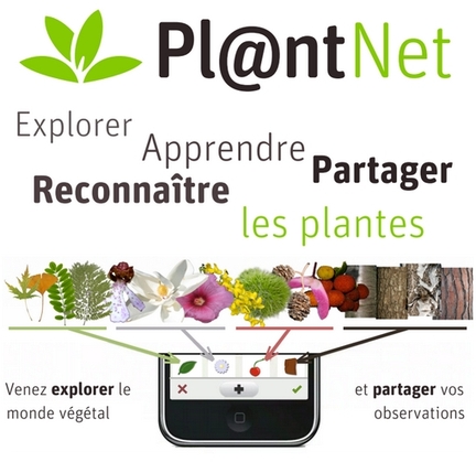 L'application Pl@ntNet permet d'identifiez une plante  partir d'une photo