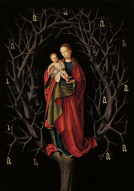 La vierge de l'arbre sec (après 1462), huile sur panneau, 17,4 x 12,3 cm, musée Thyssen-Bornemisza, Madrid - Espagne