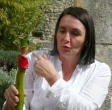 Bernadette Dagens, lyonnaise depuis 2005, est une artiste cramiste plasticienne, humaniste - exposition 2013  l'abbaye Saint-Hilaire - Photo Pierre Michotte