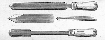 Grains d'orge de formes varies