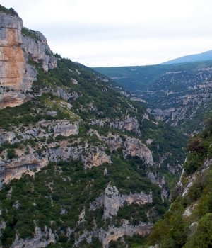 Les gorges de la Nesque - Vaucluse