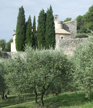 Abbaye Saint-Hilaire, monument historique class des XIIe et XIIIe sicles, premier btiment conventuel carme (XIIIe sicle) du Comtat Venaissin (1274-1791) - Mnerbes - Vaucluse - Les restanques d'oliviers