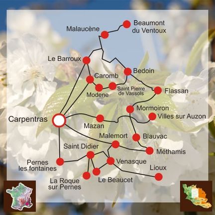 Terroir de la cerise des Monts de Venasque