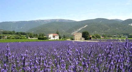 Lagarde-d'Apt - commune de Vaucluse