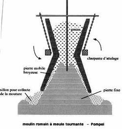 meule : coupe de principe