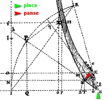 Mersenne_pince_panse