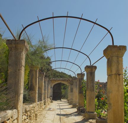 Abbaye Saint-Hilaire, monument historique class des XIIe et XIIIe sicles, premier btiment conventuel carme (XIIIe sicle) du Comtat Venaissin (1274-1791) - Mnerbes - Vaucluse - Dominique Andr - Jardin de vigne