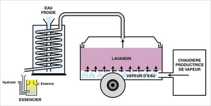 Distillation en vert broy-caisson