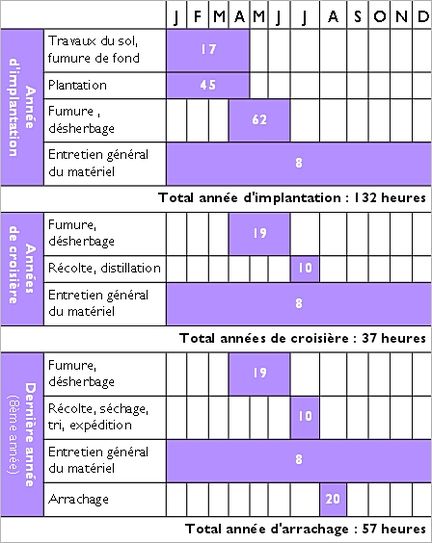 Production d'HE Bio - Temps de travail en heures pour 1ha