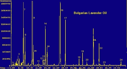 Chromatographie lavande