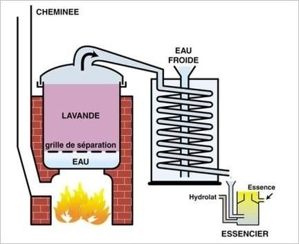 Distillation  feu nu fixe