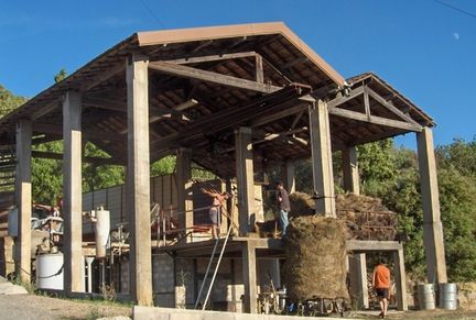 Distilleries de La Ferme du Rioux - Route de Grioux  Valensole, commune du dpartement des Alpes-de-Haute-Provence