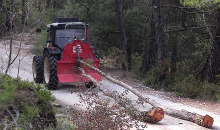 Maison des Mtiers du Patrimoine du Luberon - Les "Gestionnaires du patrimoine vgtal"