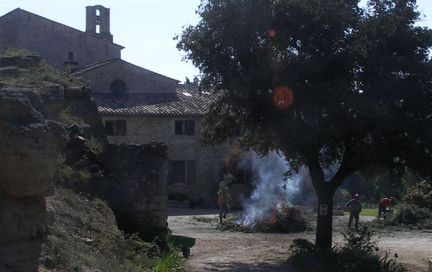 Maison des Mtiers du Patrimoine du Luberon - Les "Gestionnaires du patrimoine vgtal"