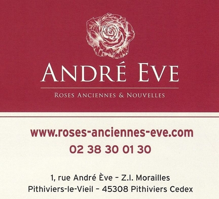 Roses anciennes & nouvelles - Andr Eve - 1,rue Andr Eve - ZI Morailles  45308 Pithiviers