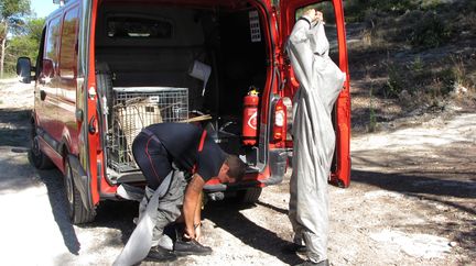 Sapeurs-Pompiers de Cavaillon - Destruction d'un essaim de frelons