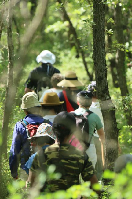 09.06.2014 - Plerinage  pied en pays d’Apt (14 km) - Oppde-le-Vieux (N-D d'Alidon)  N-D-de-Lumires