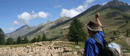 Maison de la Transhumance - Salon-de-Provence (Bouches-du-Rhne)