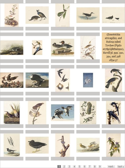 The Birds of America, John James Audubon, 1785-1851