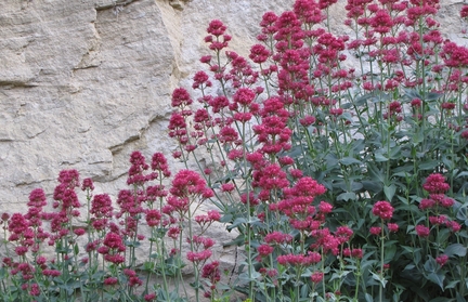 Abbaye Saint-Hilaire, Grande terrase suprieure