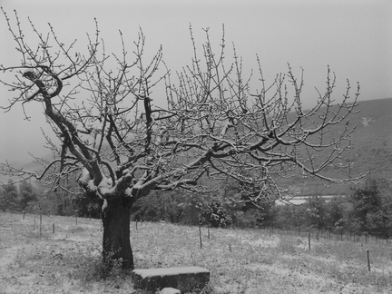 Abbaye_Saint-Hilaire_Vaucluse