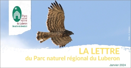 2024 - Janvier - La Lettre du Par naturel rgional du Luberon
