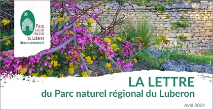 2024 - Avril - La Lettre du Par naturel rgional du Luberon