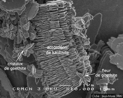 Accordon de kaolinite et cristaux de goethite