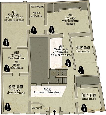 Musum d'Histoire Naturelle Requien d'Avignon