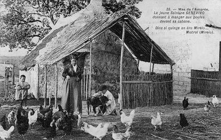 Cabane de Camargue