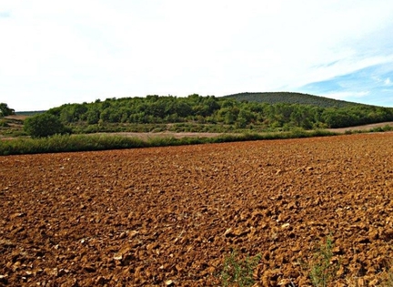 Terre de Sienne