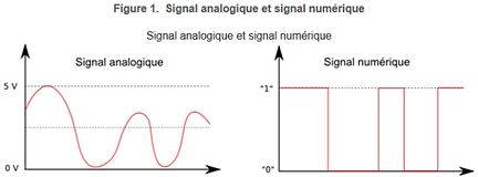 Signal analogique et signal numrique
