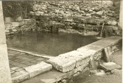 Abbaye Saint-Hilaire, monument historique class des XIIe et XIIIe sicles, premier btiment conventuel carme (XIIIe sicle) du Comtat Venaissin (1274-1791) - Mnerbes - Vaucluse - Terrasses classes M.H. du jardin conventuel - Vivier