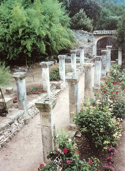 Abbaye Saint-Hilaire, monument historique class des XIIe et XIIIe sicles, premier btiment conventuel carme (XIIIe sicle) du Comtat Venaissin (1274-1791) - Mnerbes - Vaucluse - Terrasses classes M.H. du jardin conventuel - Jardin de vigne avant restauration