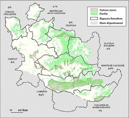 Les espaces forestiers de Vaucluse